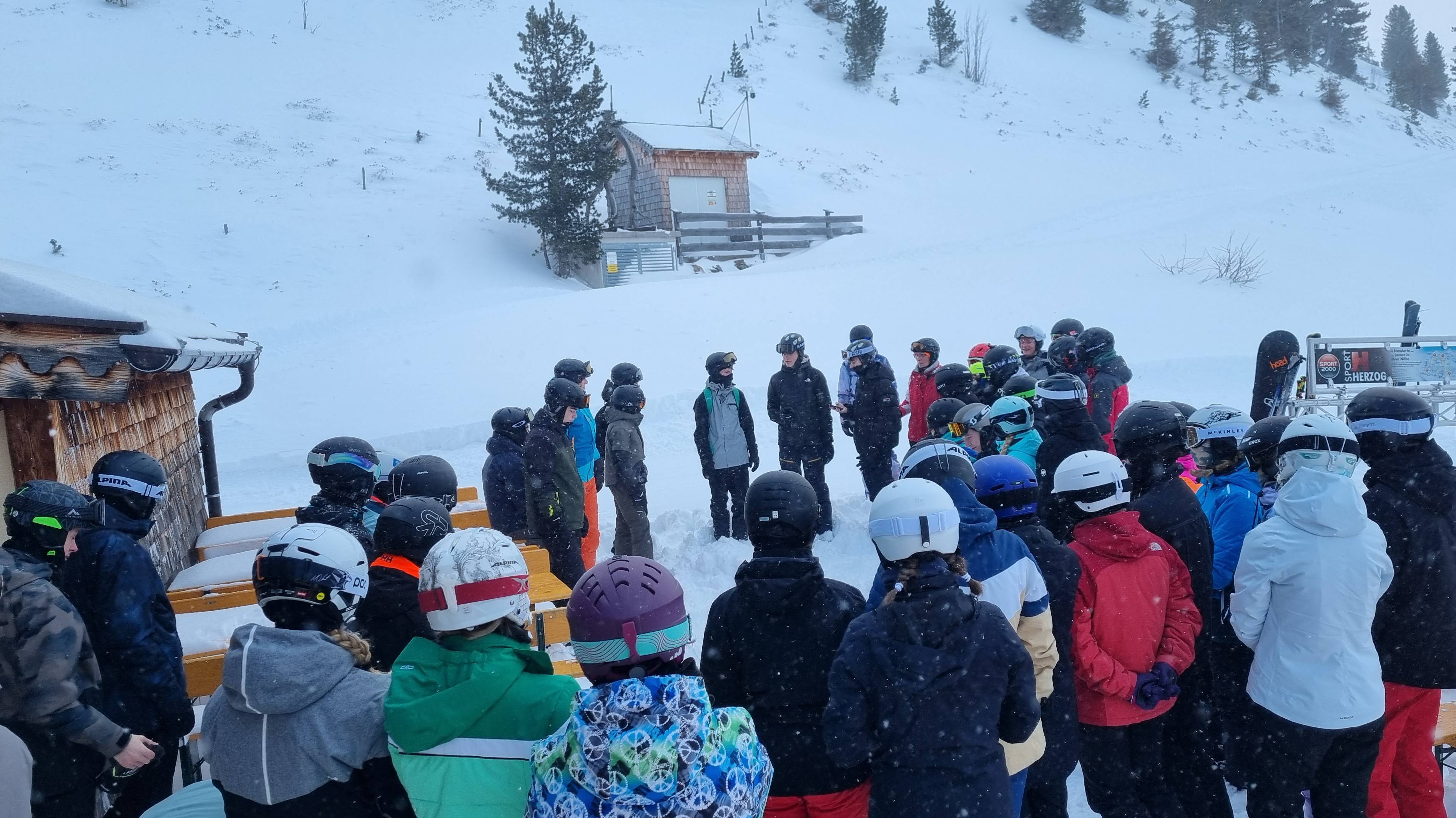 2501 ski alpin K11 04