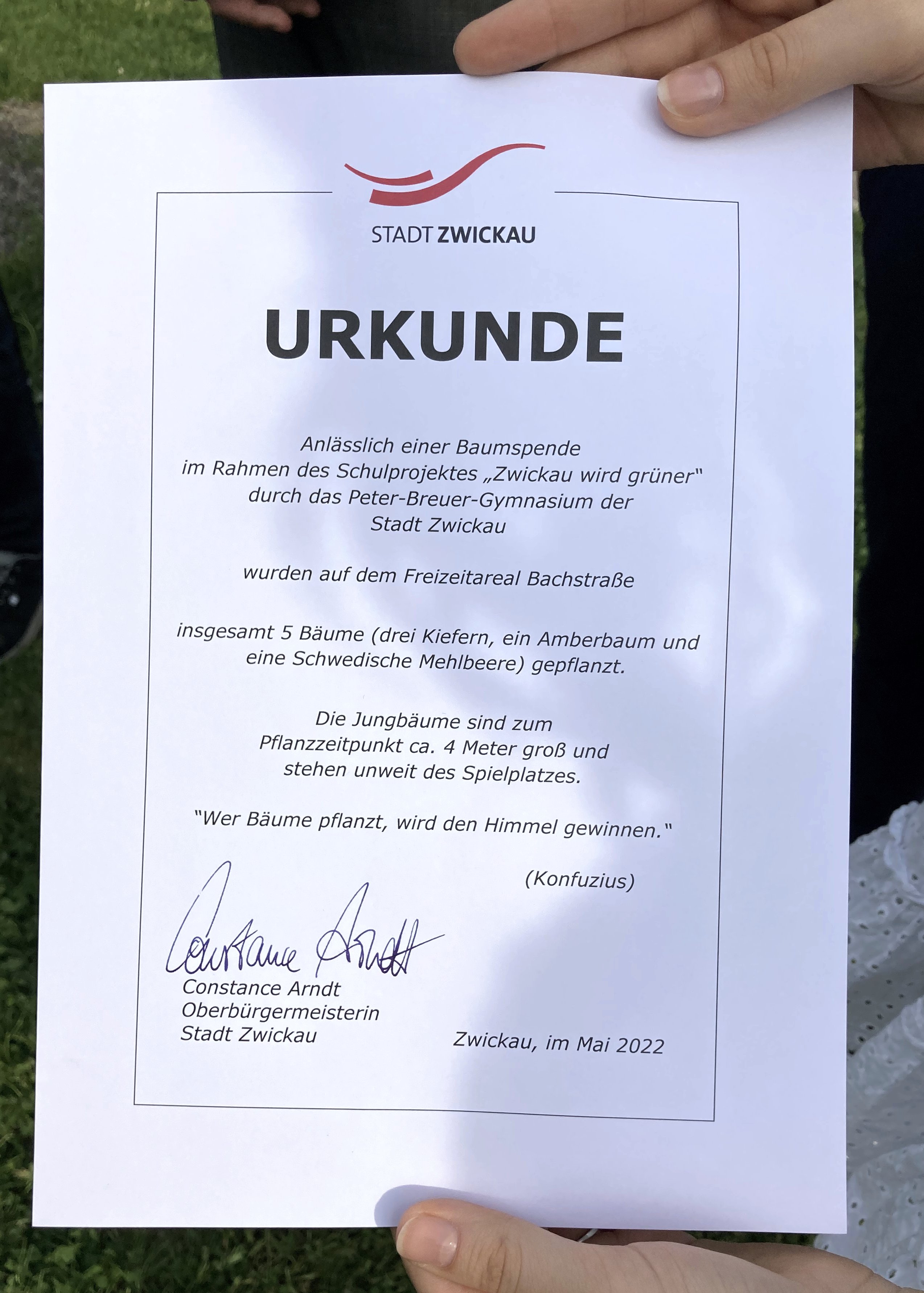 2205 baumpflanzung 03